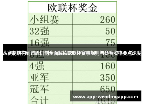 从赛制结构到晋级机制全面解读欧联杯赛事规则与参赛资格要点深度